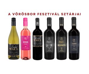 A Fesztivál TOP6 válogatása